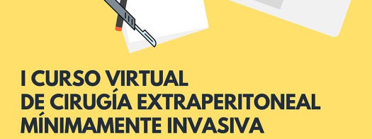 Curso-Virtual-525x742